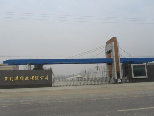 貴州萬利源計算機(jī)系統(tǒng)集成 驅(qū)動數(shù)字化轉(zhuǎn)型的專業(yè)力量